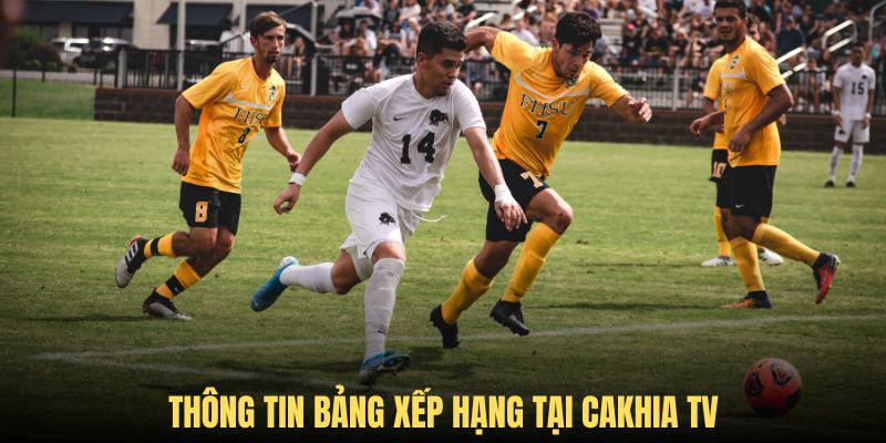 Thông tin bảng xếp hạng của mọi giải đấu danh tiếng