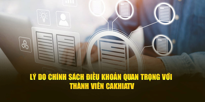 Người dùng cần nắm rõ các điều khoản sử dụng tại Cakhia TV