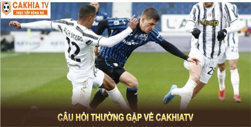 Tổng hợp một số câu hỏi thường gặp nhất về nền tảng Cakhia